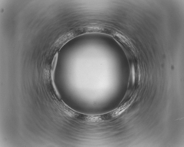 X0000059220333200510141018