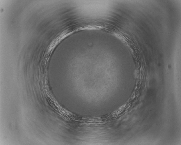 X0000059220337200510141018
