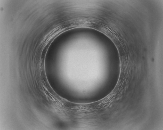 X0000059220338200510141018