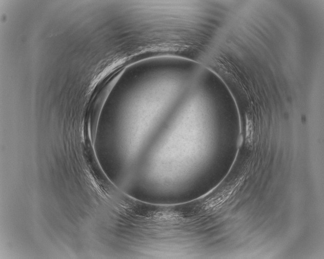 X0000059220348200510141018