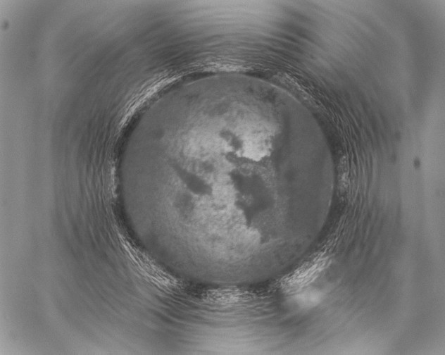 X0000059220351200510141018
