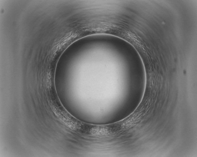X0000059220354200510141018
