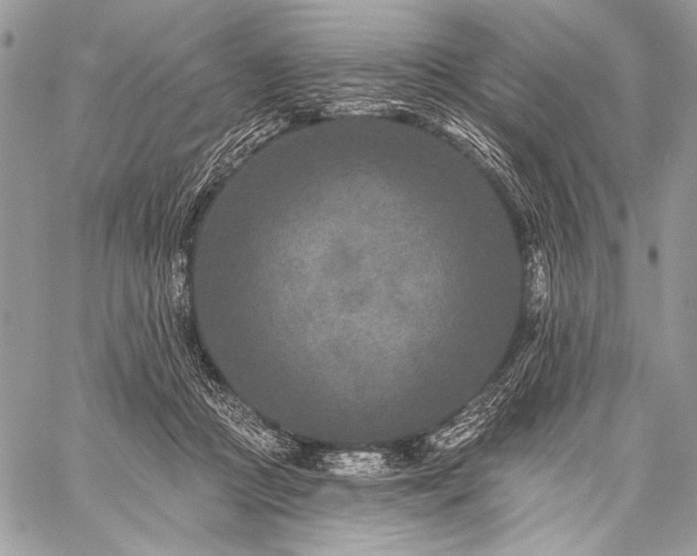 X0000059220361200510141018