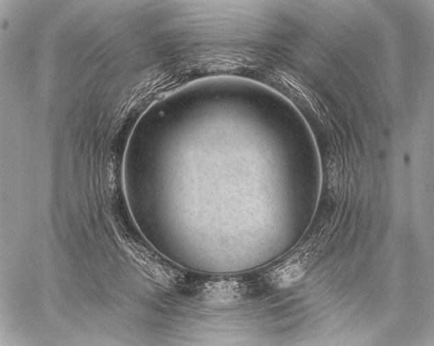 X0000059220362200510141018