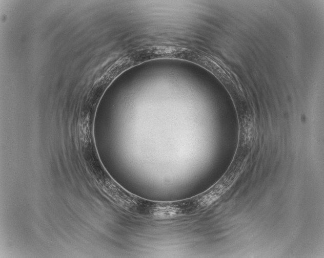 X0000059220376200510141018