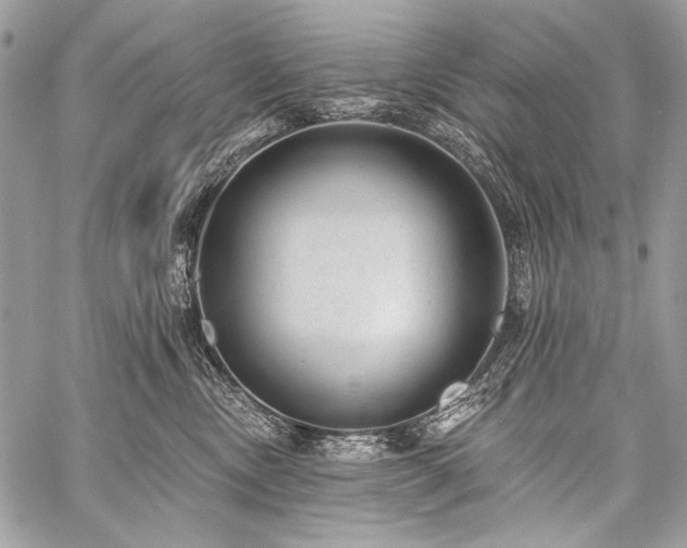 X0000059220378200510141018