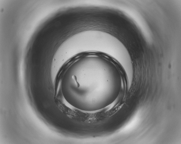X0000059220383200510141018