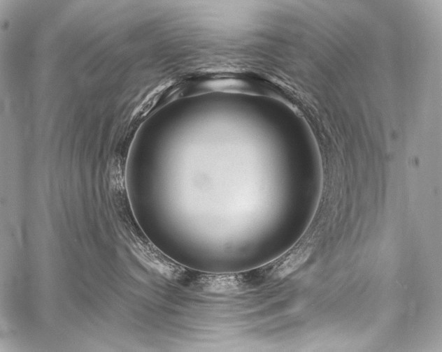 X0000059220384200510141018