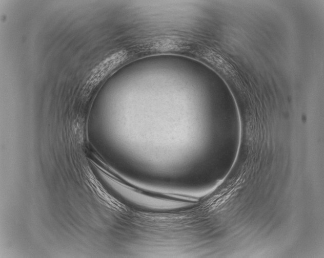X0000059220393200510141017