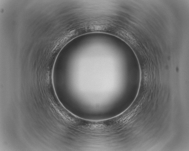 X0000059220401200510141017
