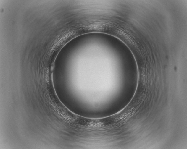 X0000059220403200510141017