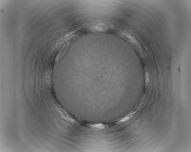 X0000059220409200510141017