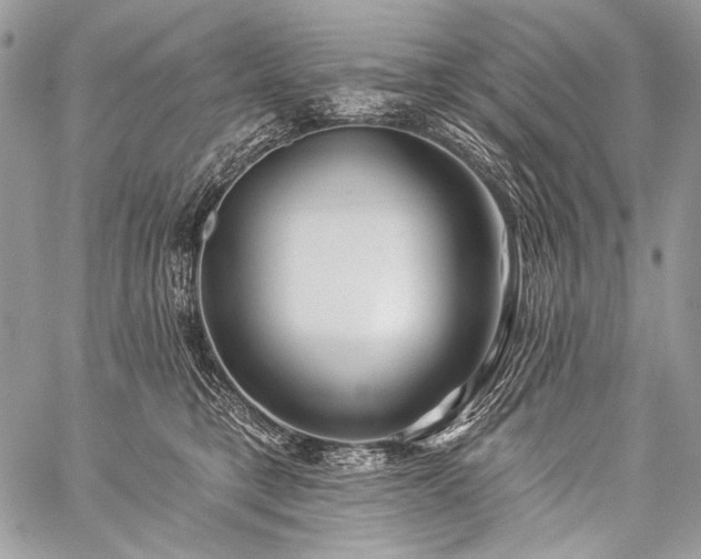 X0000059220421200510141017