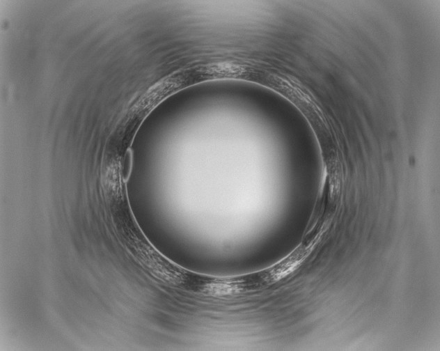 X0000059220425200510141017