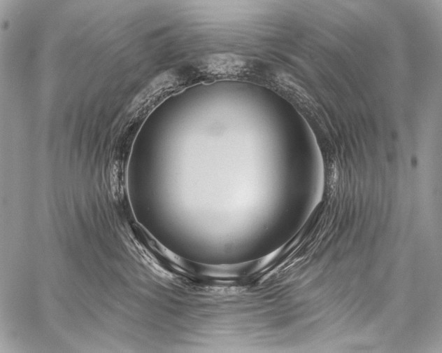 X0000059220428200510141017