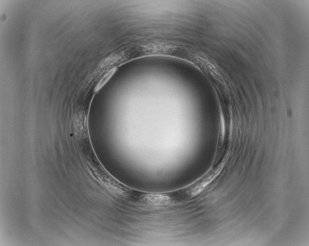 X0000059220429200510141017