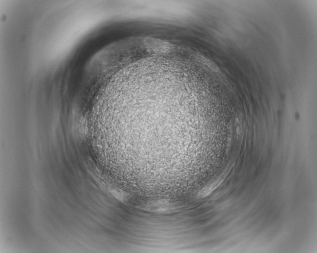 X0000059220431200510141017