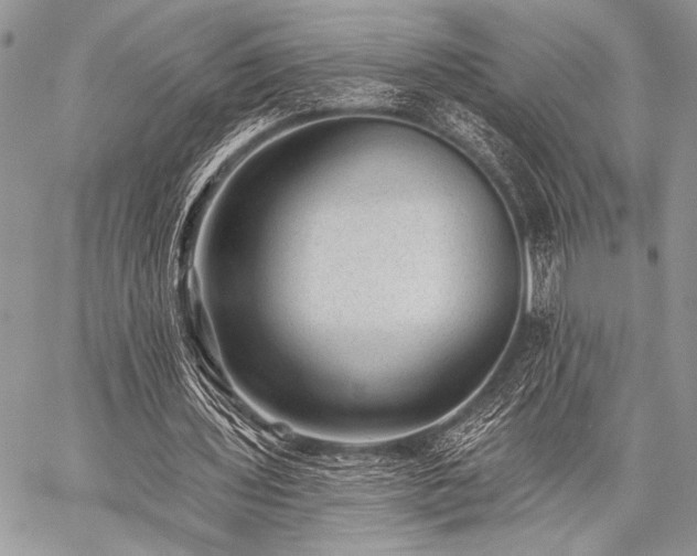 X0000059220435200510141016