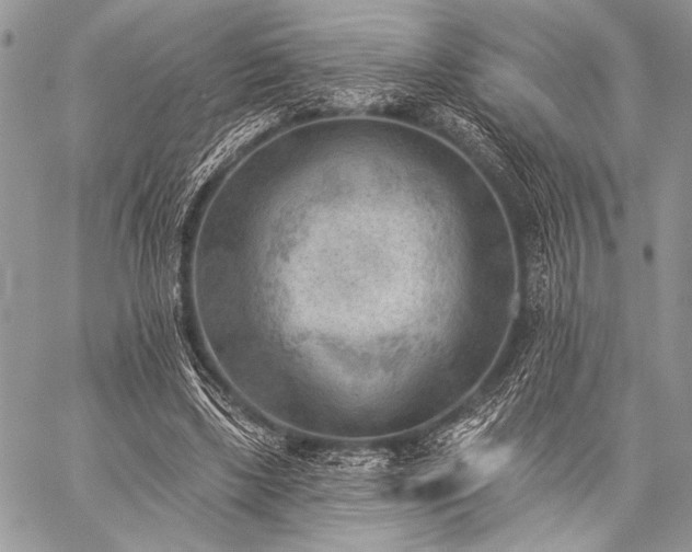 X0000059220443200510141016