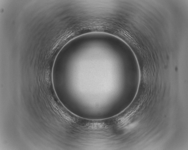 X0000059220449200510141016
