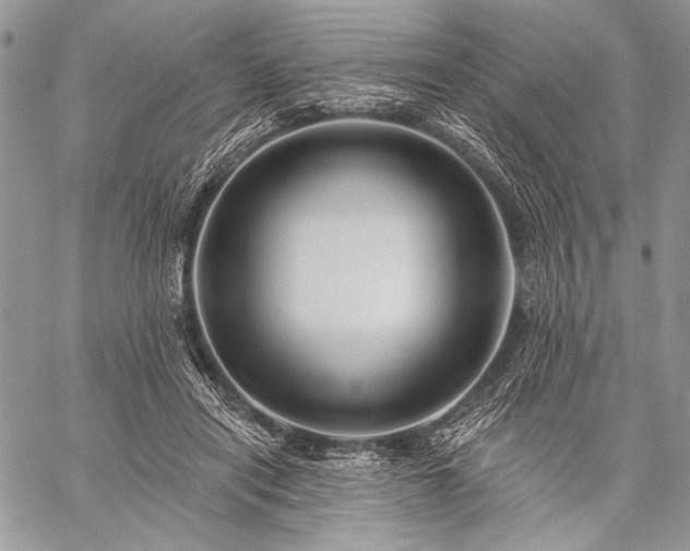 X0000059220454200510141016