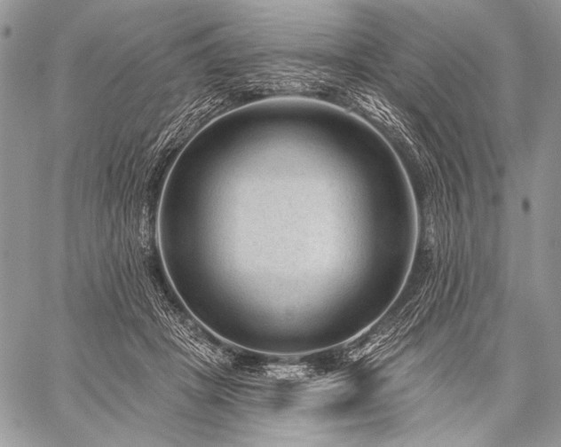 X0000059220457200510141016