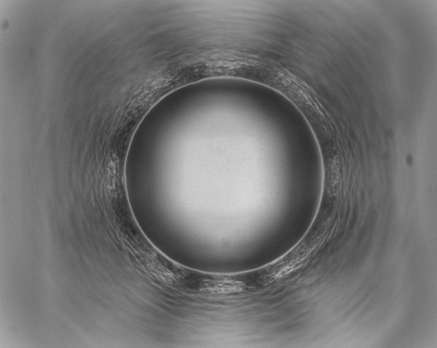 X0000059220463200510141017