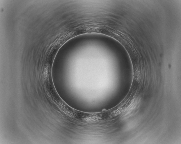 X0000059220468200510141017