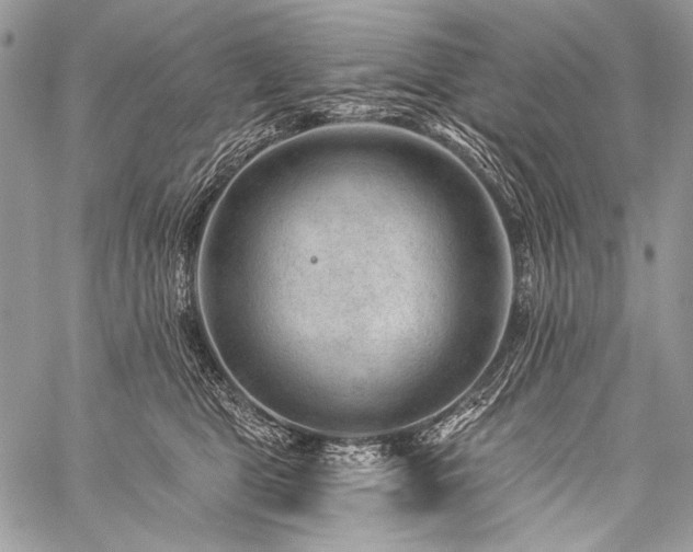 X0000059220469200510141017