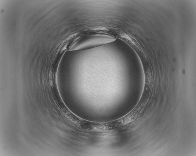 X0000059220470200510141017