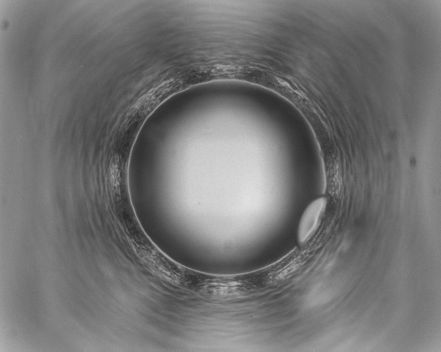 X0000059220472200510141017