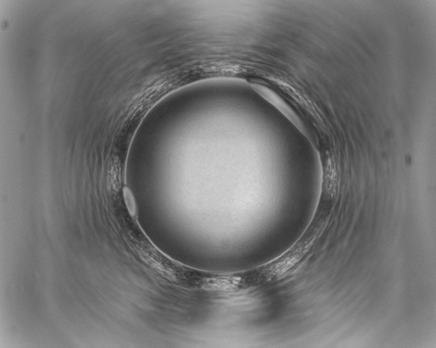 X0000059220474200510141017
