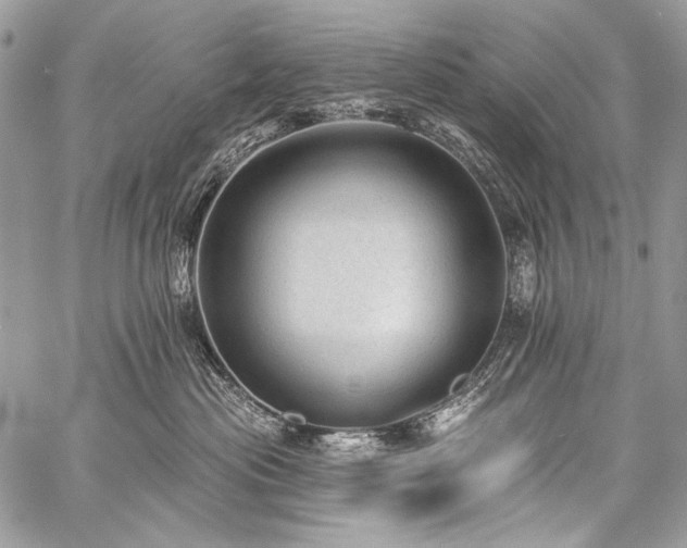 X0000059220477200510141017