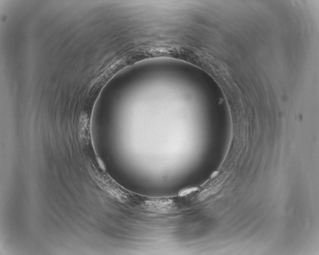 X0000059220480200510141017
