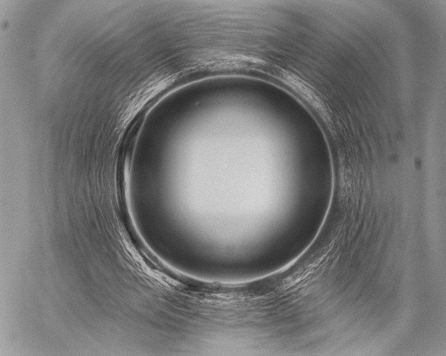 X0000059220485200510141016