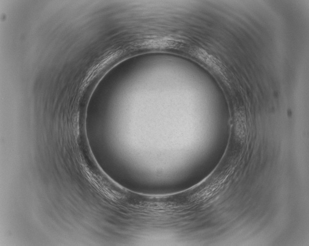 X0000059220486200510141016