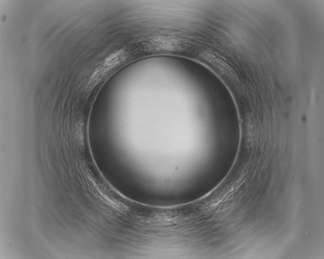 X0000059220489200510141016