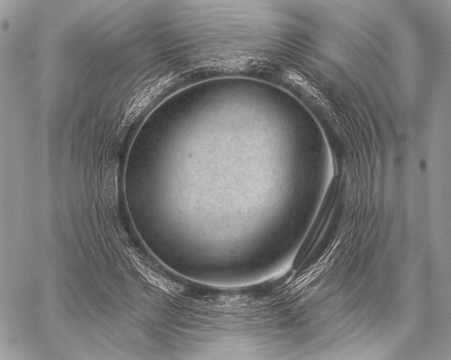 X0000059220493200510141016