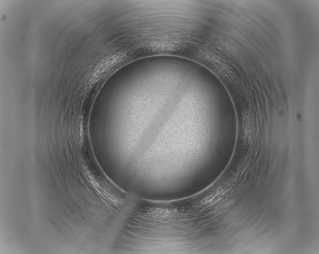 X0000059220494200510141016