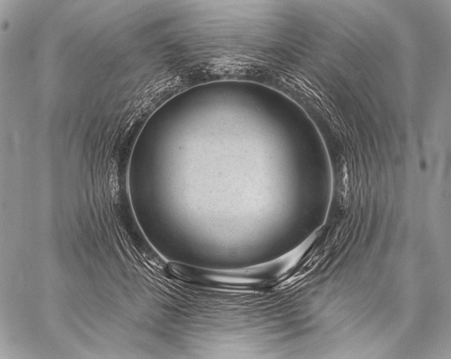 X0000059220508200510141016