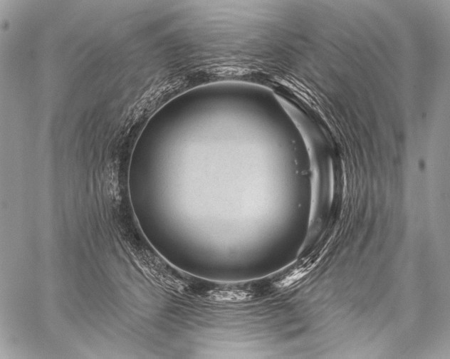 X0000059220512200510141016