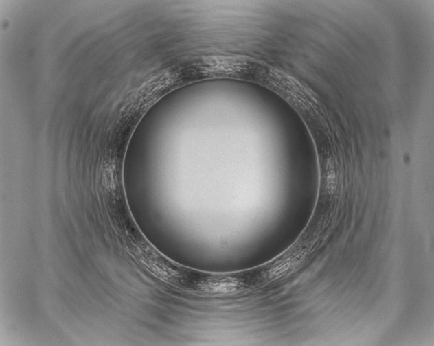 X0000059220514200510141016