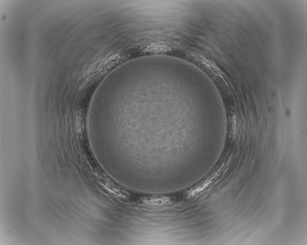 X0000059220517200510141015