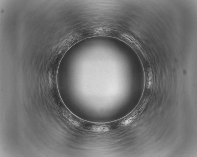 X0000059220520200510141015