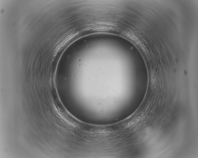 X0000059220533200510141015