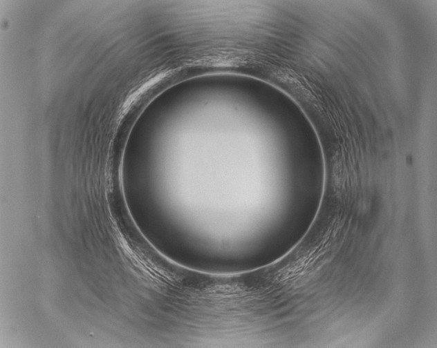 X0000059220536200510141015