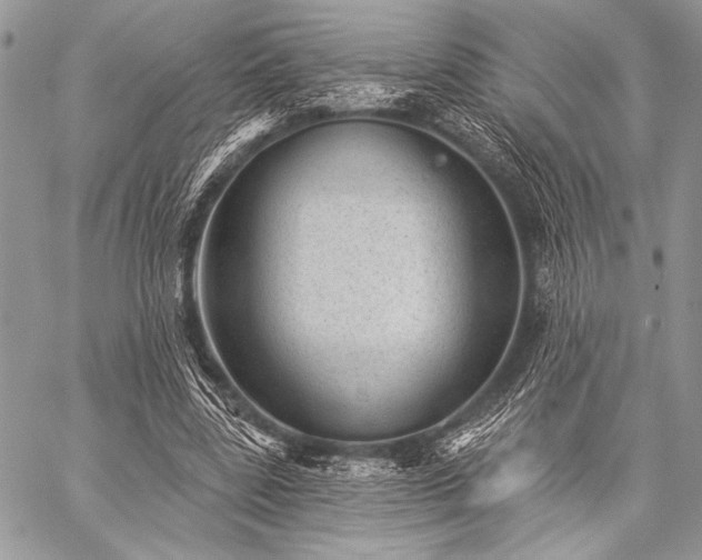 X0000059220539200510141015