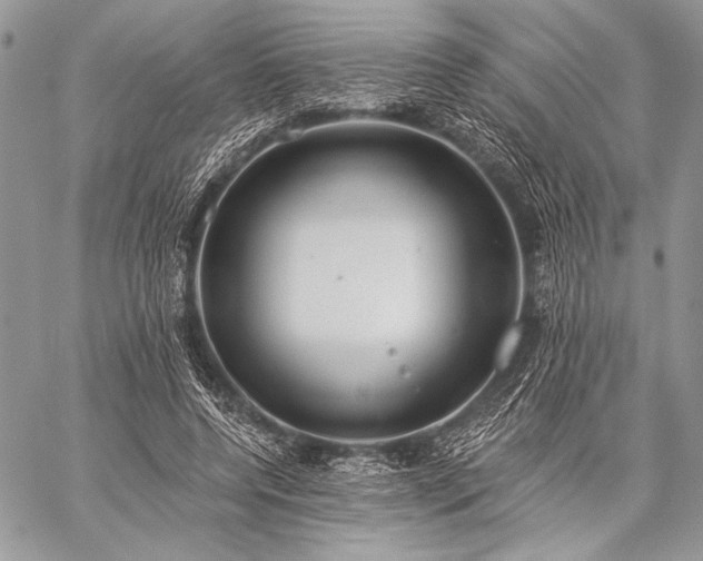 X0000059220544200510141015