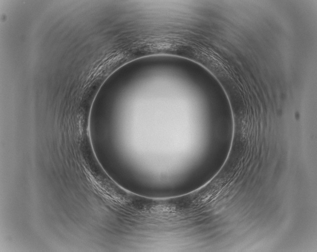 X0000059220546200510141015