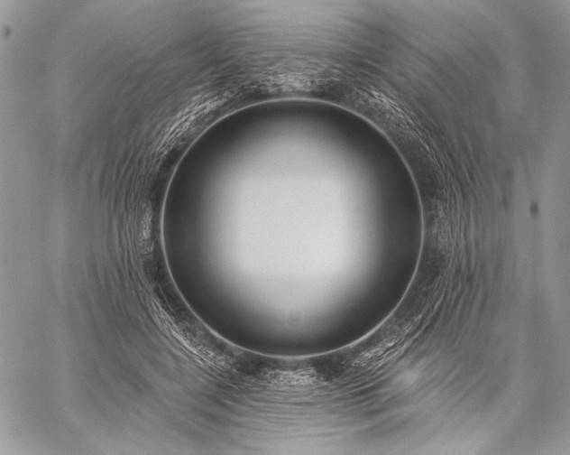 X0000059220548200510141015